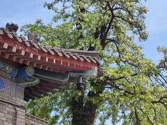 -大慈恩寺(大雁塔)