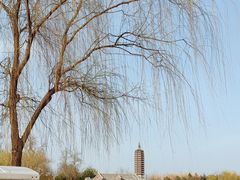 -西海子公园