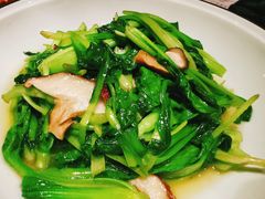 ws香菇鸡毛菜-辛香汇(宝乐汇店)