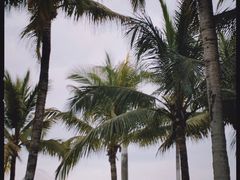 -深圳湾公园(南山区)