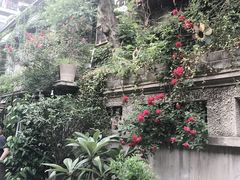 -猫色咖啡·猫咖