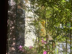 -小西家作(富力爱丁堡店)