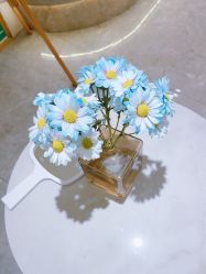 -MIDA蜜哒•科技逆龄美肤连锁