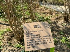 -老君堂公园