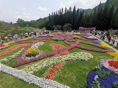 -深圳仙湖植物园