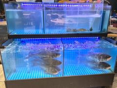 -老班长·小龙虾·鲜货烧烤大排档(金街美地店)