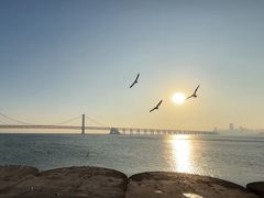 -星海湾跨海大桥