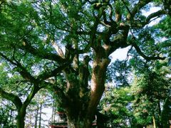 -安溪清水岩
