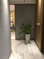 -苑苑vbeauty科技美容SPA