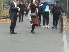 -西湖外事游船(花港观鱼码头)