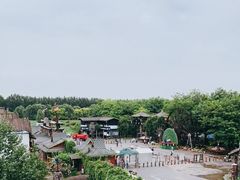 -呀路古热带植物园