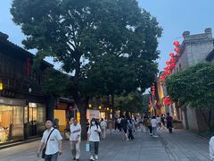 -聚春园自助餐厅(东街口店)