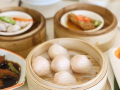 陶然轩虾饺-陶然轩(沙面店)
