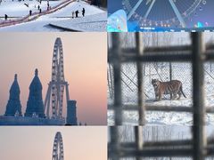 -清青快餐厅