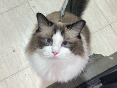 -佬牌火辣辣衢州特色菜(皇冠总店)