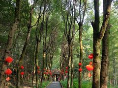 -黄山翡翠谷景区