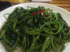 -大富蚝乌东哥饭店·石锅鱼杂·柠檬鸭(革新路店)