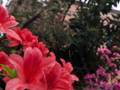 -香港理工大学