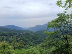 -青城山