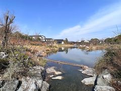 -雅达·阳羡溪山小镇中心