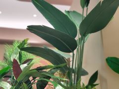 -奈雪的茶(正弘城PRO+店)
