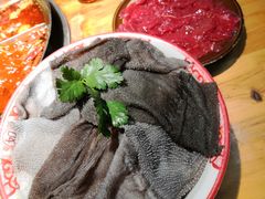 -陈陈火锅(较场口店)