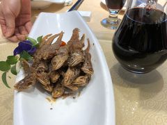 -森谷美食公园(杨行店)