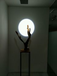 -榕树上·瑜伽普拉提