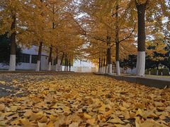 -辽宁大学(崇山校区)