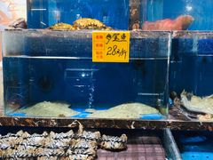 水产区-河马鲜生海鲜超市(风荷园店)