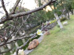 -Club Med地中海俱乐部·桂林度假村