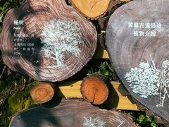 -道教老君洞