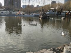 -团结湖公园