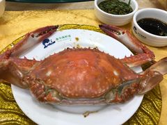 -春华海鲜城(广场西苑店)