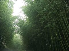 -竹泉村旅游度假区