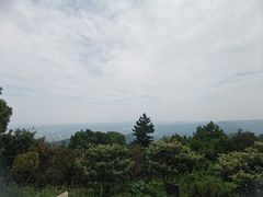 -雨花胜境