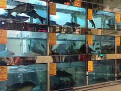 水产区-蜀滋香鲜鱼美蛙火锅(339店)