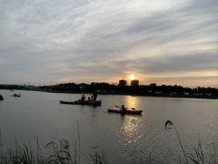 -春花秋色城市公园