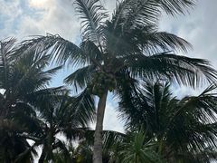 -太平洋咖啡(海滨泳场店)