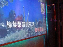 -佰迪乐KTV(岑溪店)