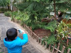 -北京呀路古热带植物园