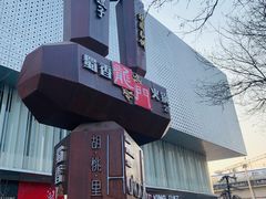 -深影国际影城(学院南路店CGS中国巨幕店)