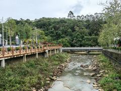 -广州白江湖森林公园