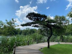 -新荣记(西溪湿地店)