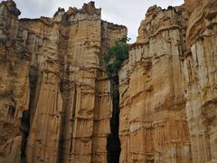 -元谋浪巴铺土林景区
