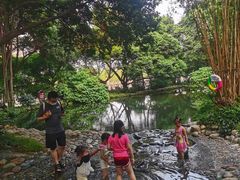-成都市活水公园