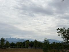 -洨河生态公园