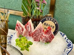 -喜聚薈·花膠雞海鮮火鍋(越秀店)
