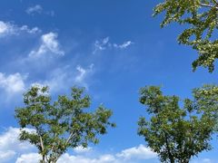 -东郊湿地公园