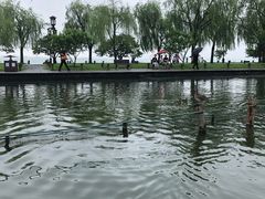 -西湖游船